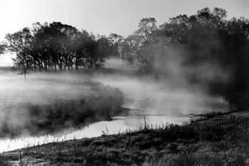 wetlands