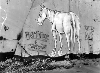 White Horse