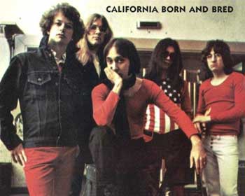 Flamin' Groovies