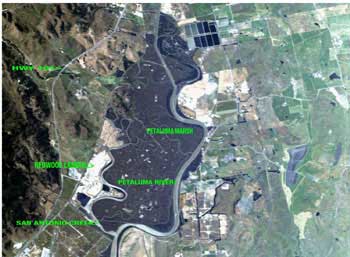 Redwood Landfill Map