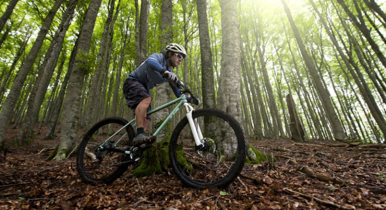 Best of Recreation 2024