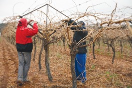 Where Are the Unions?