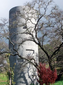 Culture: Writers Picks