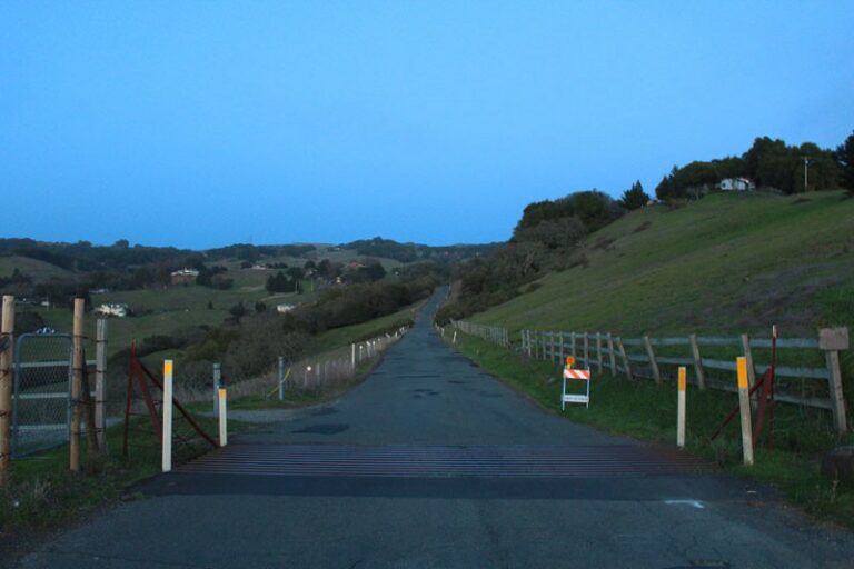 Best Of 2013: Everyday