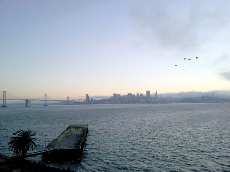 Live Review: Treasure Island Music Festival 2013