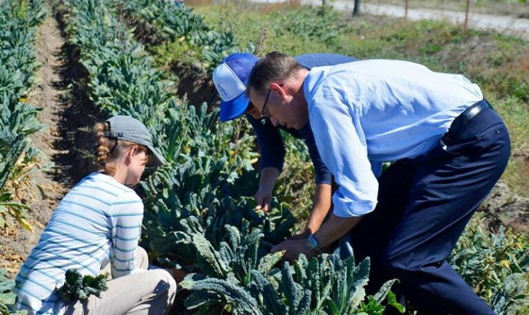 Writers Picks: Food & Drink