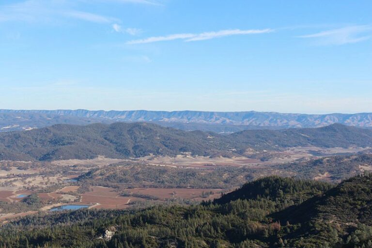 Debriefer: June 18, 2014