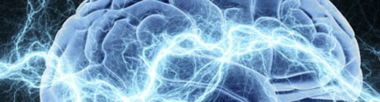 Successful Brain Festival: Oct. 4 Successful Brain Festival: Oct. 4