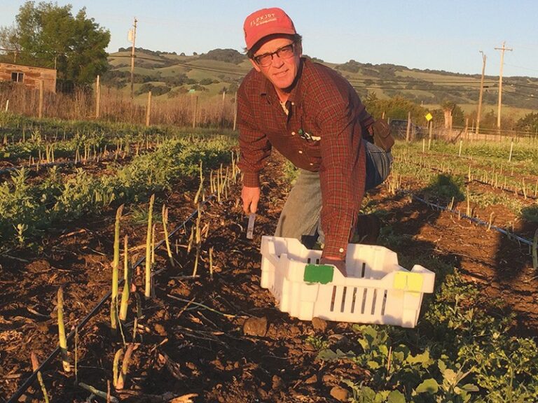 Crop Report: Spring Grass