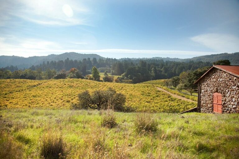 Glen Ellen Green Tour