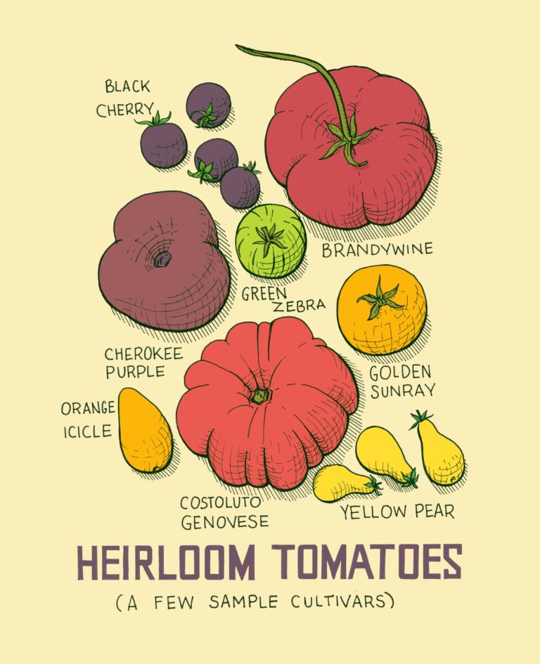 Jul. 8: Farm Fresh Art in Healdsburg