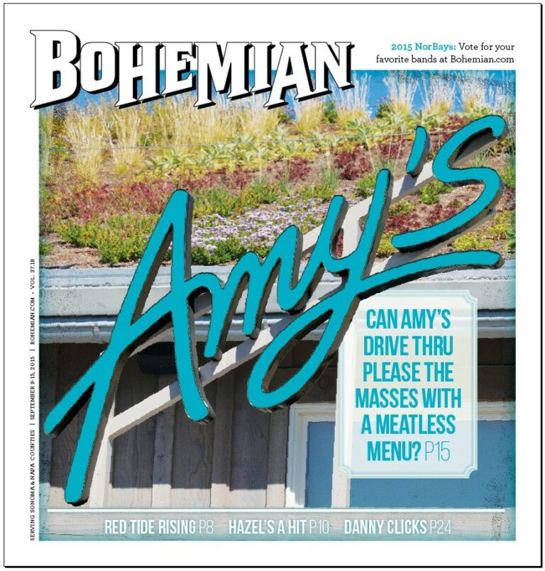 Understanding Amy’s