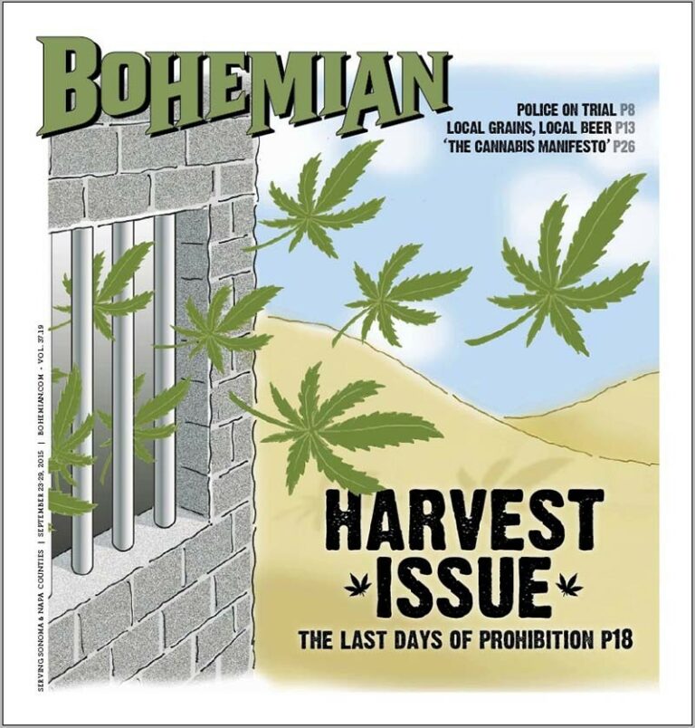 Legalization Realization