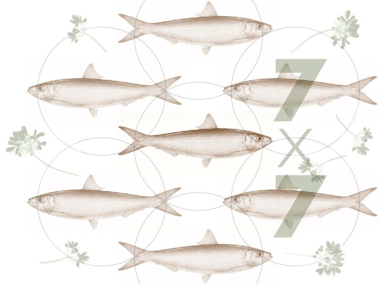 Dec. 19: Fish Food in Healdsburg