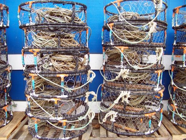 Debriefer: April 6, 2016