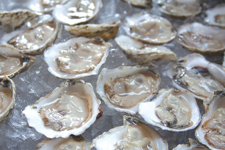A Palooza, 
for Oysters