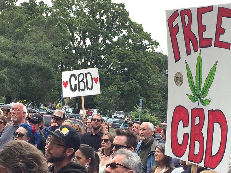 Safe Harbor Bohemian Sonoma & Napa Counties