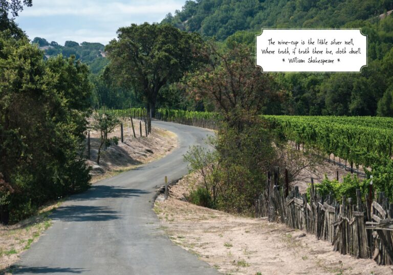 July 17: True Napa Experience in St Helena