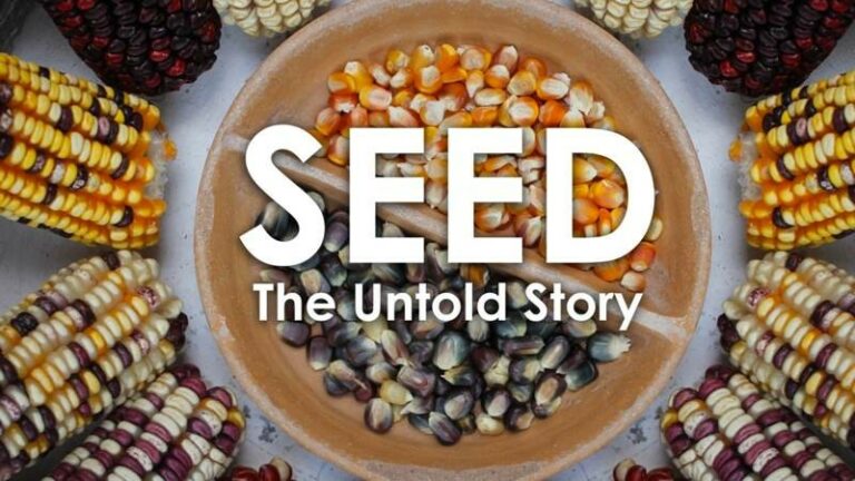 Sept. 6-7: Seed Story in Santa Rosa