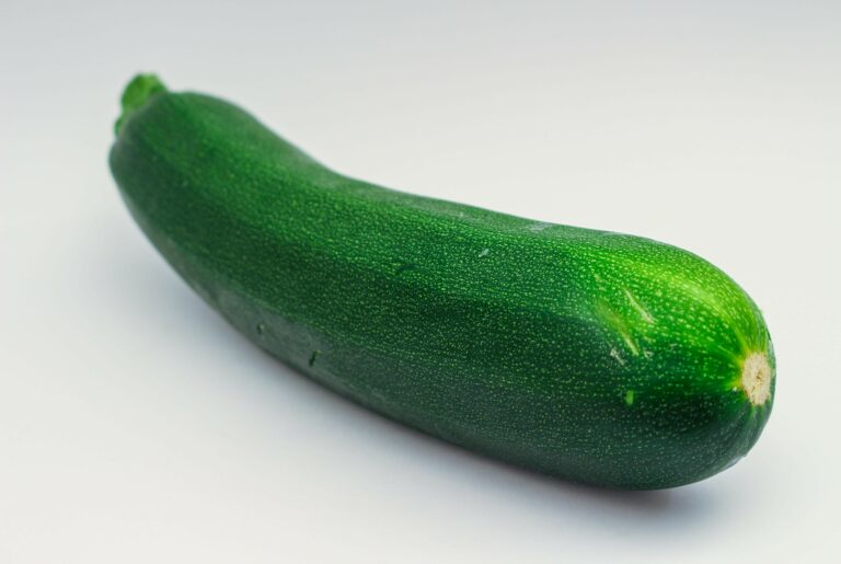 Aug. 28: Summer Squash in Windsor