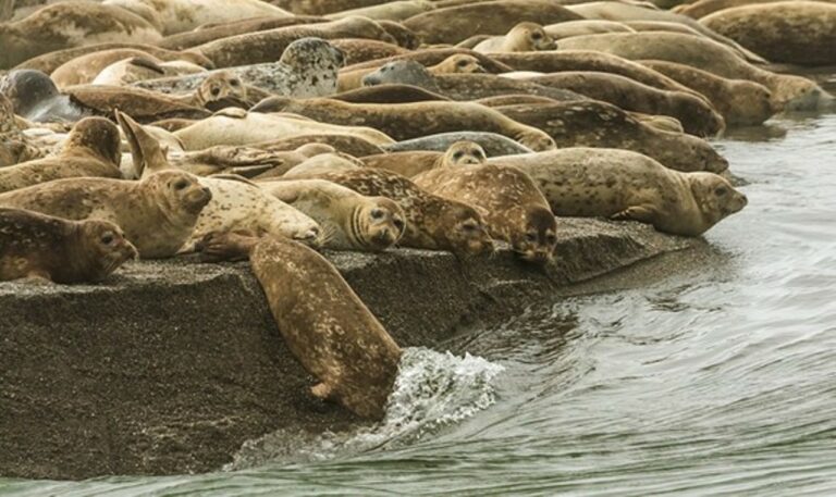 May 20: Outdoor Adventures in Jenner