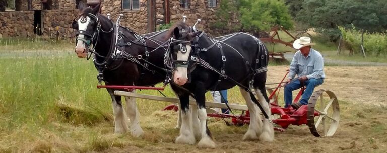 May 21: Outdoor History in Glen Ellen