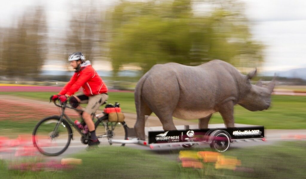 rhino ride on toy