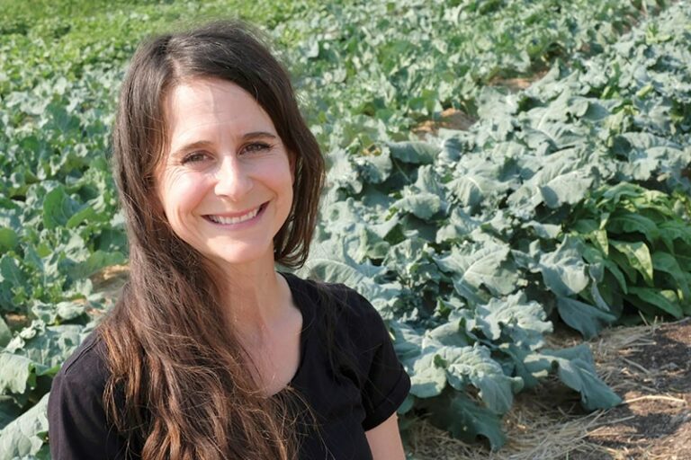 Spotlight on Sebastopol