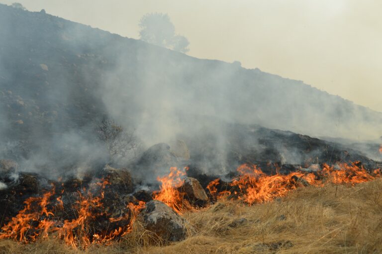 Officials predict fires out by Friday