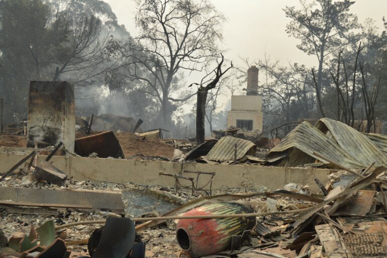 Three Suspected Looters Lassoed by SRPD