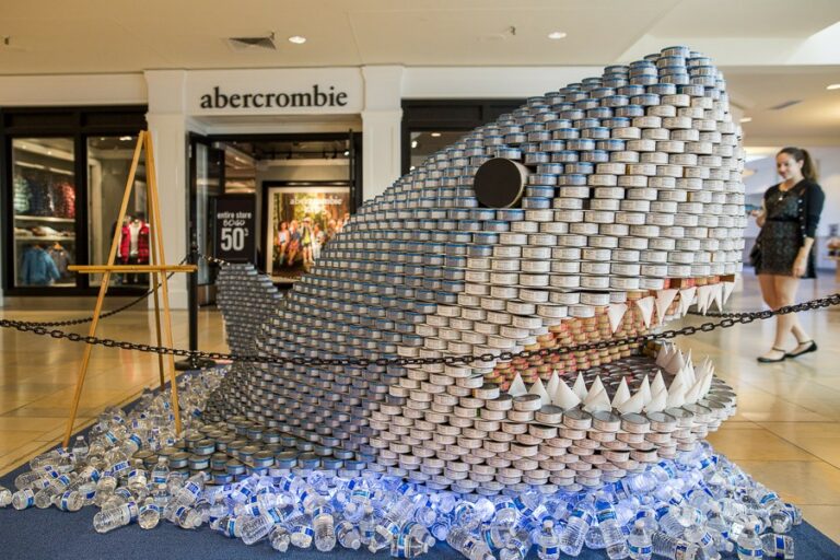 ReCANstruction comes to the Coddingtown Mall