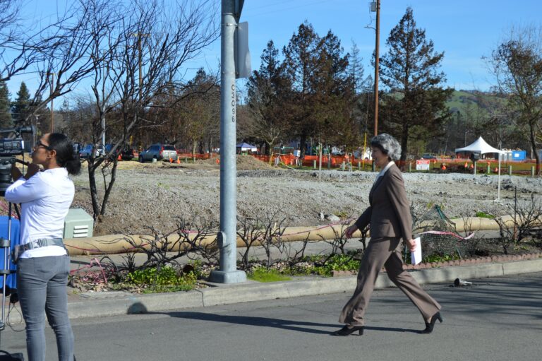 Sonoma DA: I Won’t Follow SF DA’s Lead in Expunging Local Pot Convictions Sonoma DA: I Won’t Follow SF DA’s Lead in Expunging Local Pot Convictions