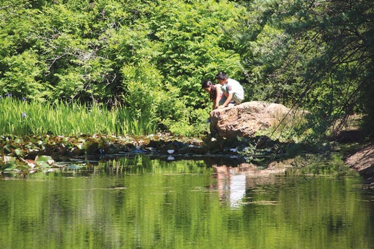 Floral Wonders | Bohemian | Sonoma & Napa Counties