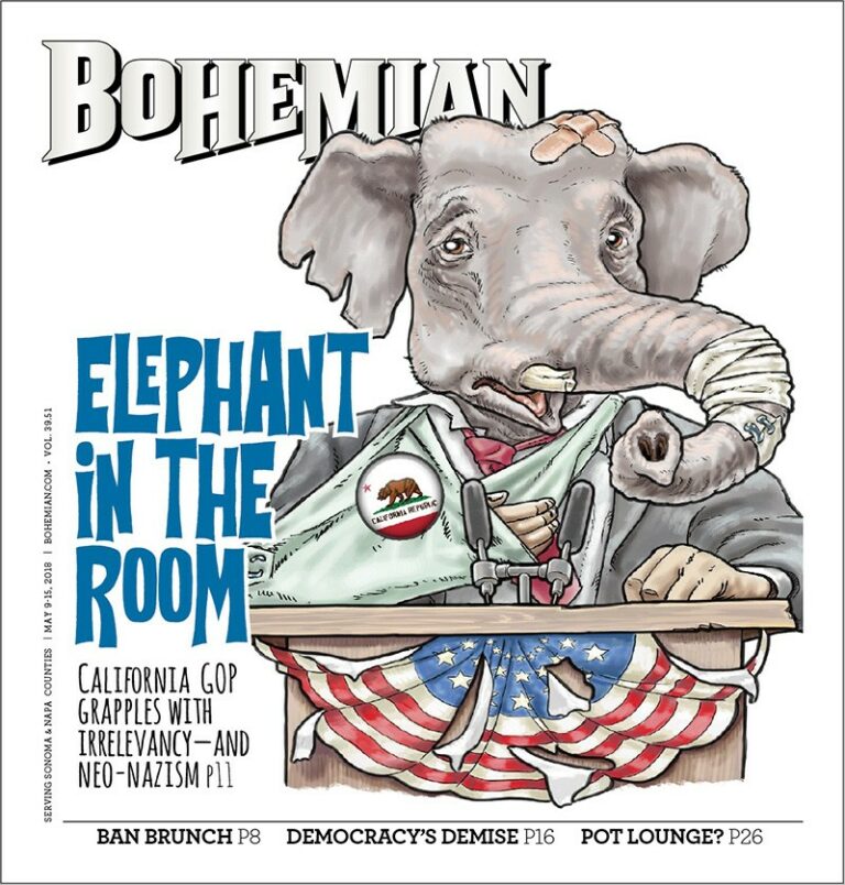 Elephant in the Room