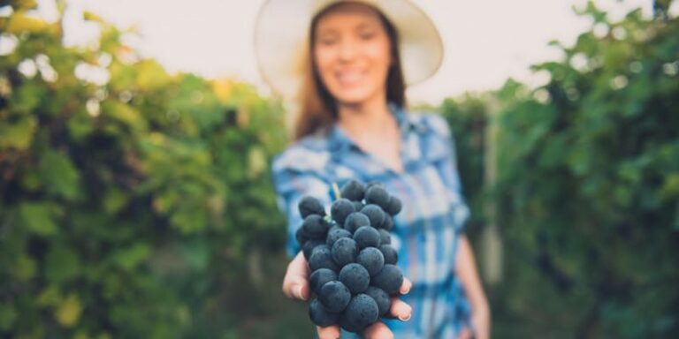 May 12-13: Toast to Moms in Napa