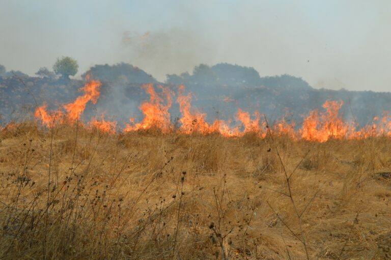 Cal Fire Ramping Up for High Wind, Low Humidity Weekend