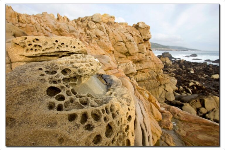 Prescribed Burns Planned for Salt Point State Park