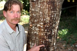 A Changing Landscape