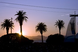 The Minnow Would Be Lost