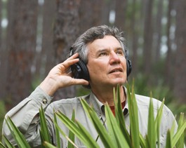 Culture’s Cacophony