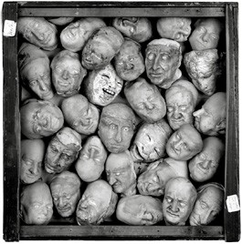 Hitting the ‘Trail