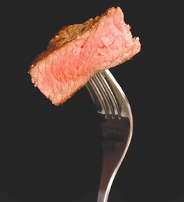 Animal-Free Longevity