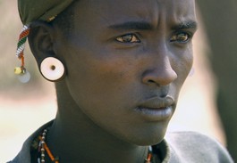 Silver Screen Satisfaction