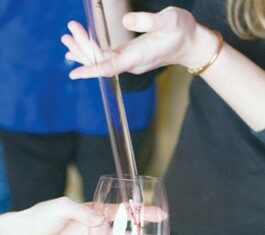 Young / Wines