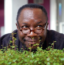 Method to the Madness