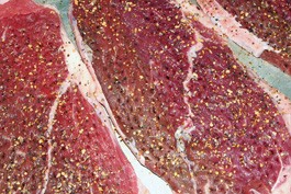 Want Virus with That?