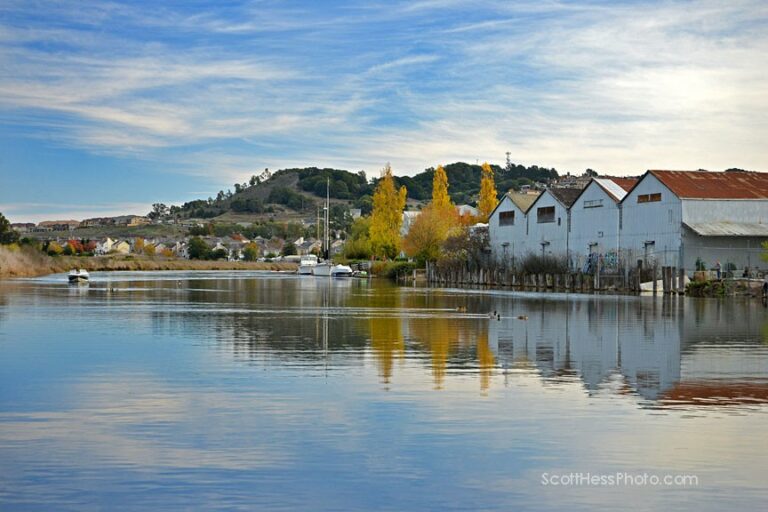 Join This Weekend’s Socially Distant Cleanup on the Petaluma River