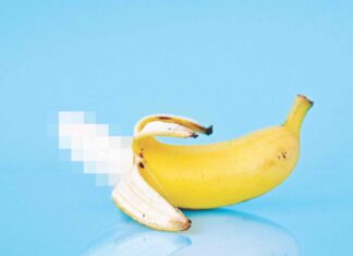 ‘Project Censored’ Spotlights 2020’s Buried News Stories Project Censored 2020 Sonoma State