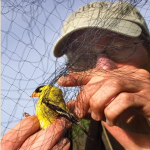 Pt. Reyes Bird Observatory