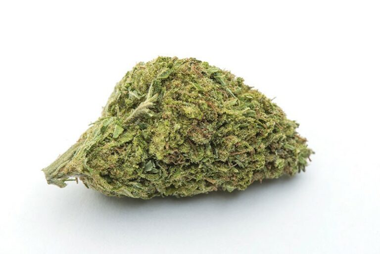 Debriefer: November 17, 2015